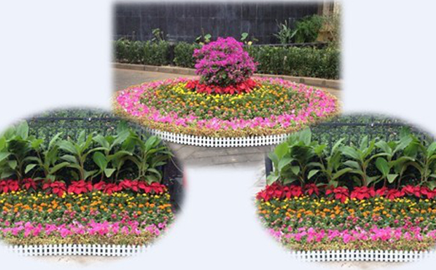 振興華龍人喜迎中秋、國慶雙節(jié)